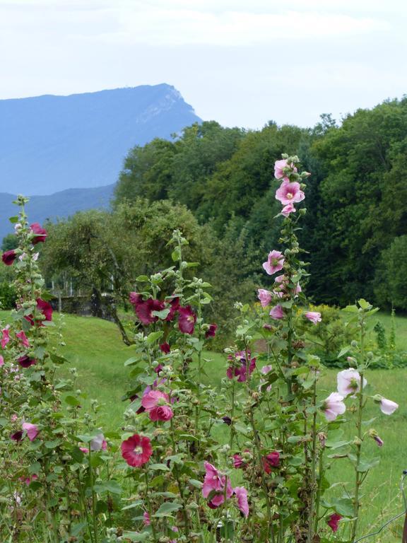 Au Coeur De La Campagne - Gite Non Loins D'Annecy- A 17 Min D'Annecy - Tout Pret D'Aix Les Bains Saint-Girod Exteriör bild